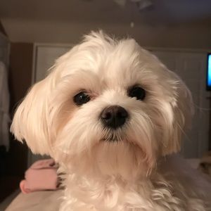 Meet your Posher, Beth